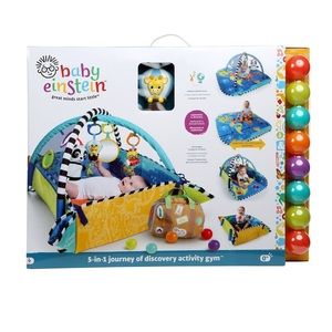 baby einstein learning gym